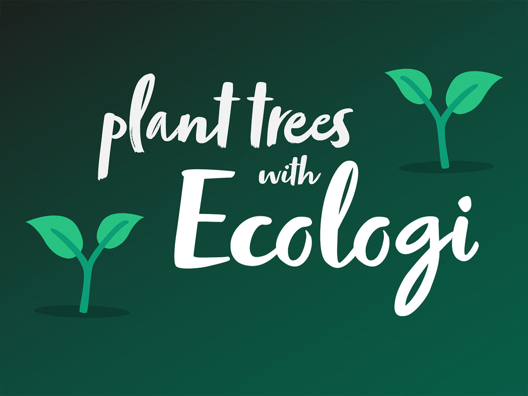 ustainability for every product sold plant a tree. Planet friendly eco brand. Ecologi climate change ethical brand.