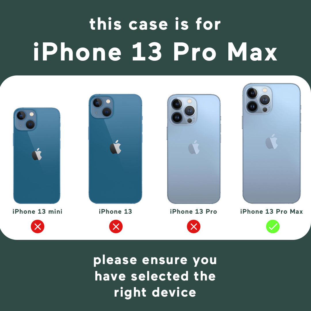 What A Mess — iPhone 13 Pro Max for MagSafe Cases for Magsafe